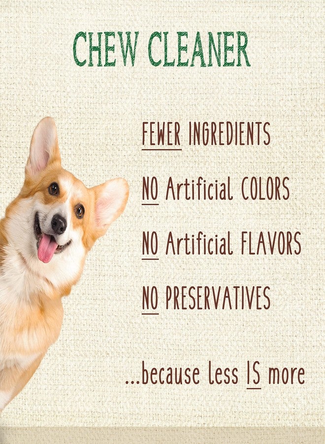 Nylabone Nutri Dent Dog Dental Chews - Natural Dog Teeth Cleaning & Breath Freshener - Dental Treats for Dogs - Filet Mignon Flavor, Medium (20 Count) - Image 5